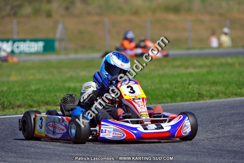 DSC_ (1363).jpg